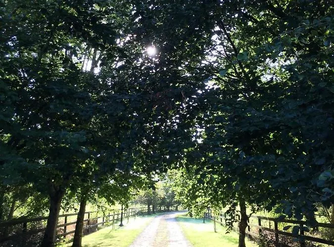 Woodvilla *