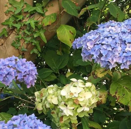 Woodvilla بيت للعطل